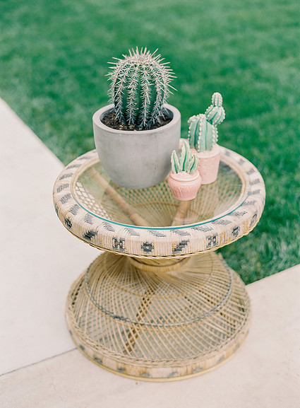 Boho llama baby shower