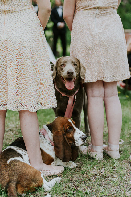 Moody foodie wedding in Edmonton