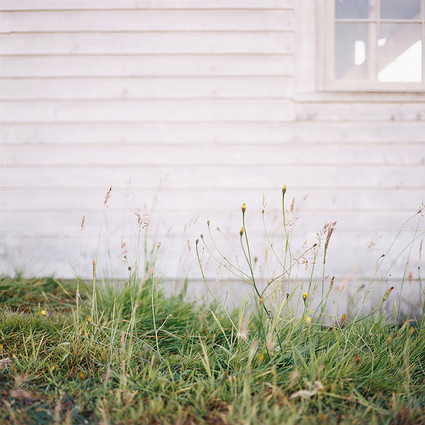 Golden hour late summer farmhouse wedding inspiration