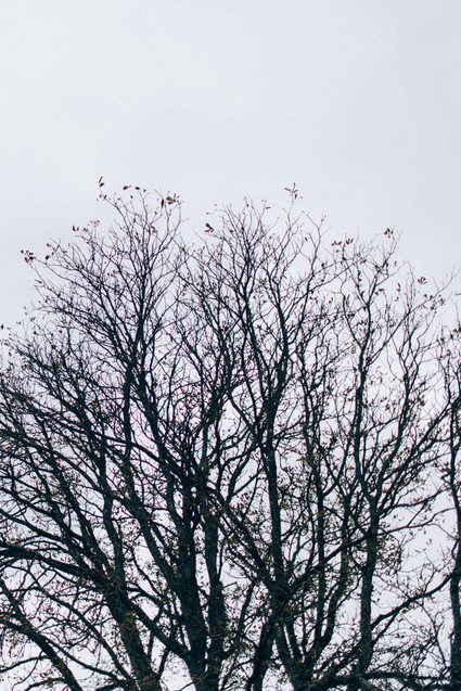 Intimate winter wedding at Chateau de Montplaisant in France