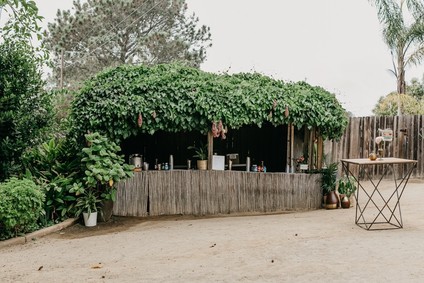 Modern tropical wedding at the San Diego Botanic Garden