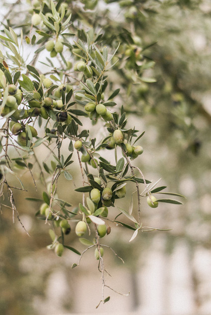 Elopement in an ancient farming village in Portugal