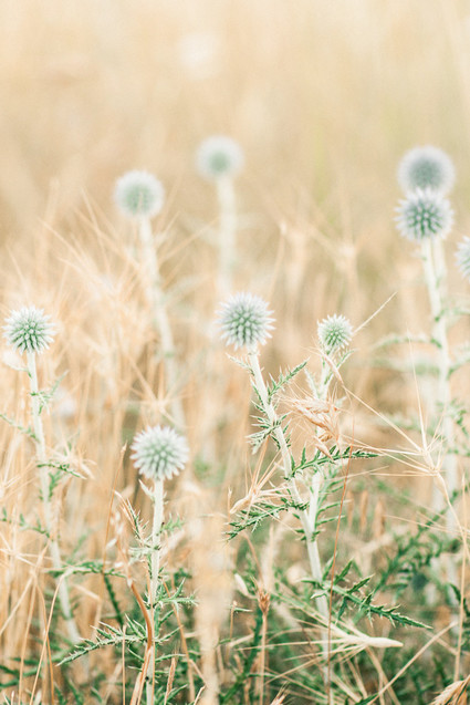 50th anniversary session by the sea