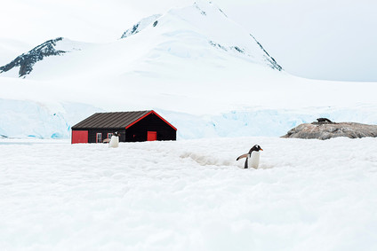 Antarctica wedding