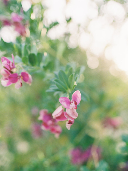 Engagement session at Caravan Outpost in Ojai + a giveaway