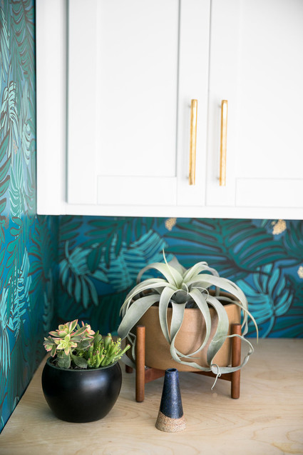 Justina Blakeney wallpaper Inspiration