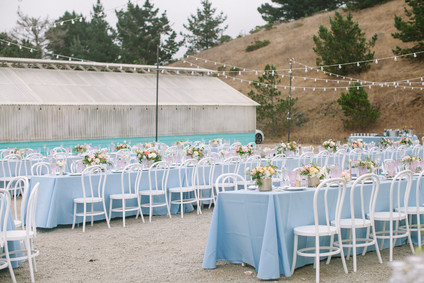 Whimsical greenhouse wedding at Shelldance Orchid Gardens