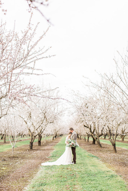 Romantic pastel spring blossom estate wedding