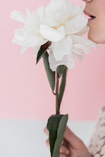 Modern French pink and blush bridal shower