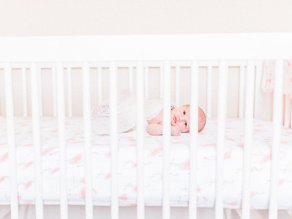 French inspired newborn and nursery photos
