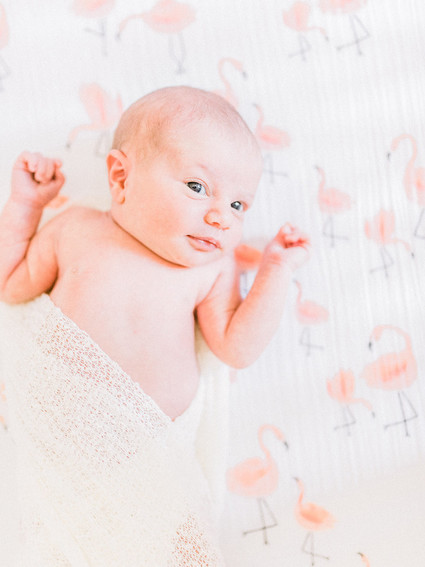 French inspired newborn and nursery photos