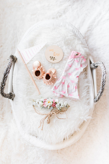 French inspired newborn and nursery photos