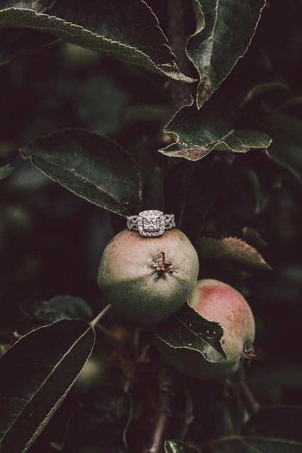 Elegant intimate Whidbey Island wedding at The Wayfarer