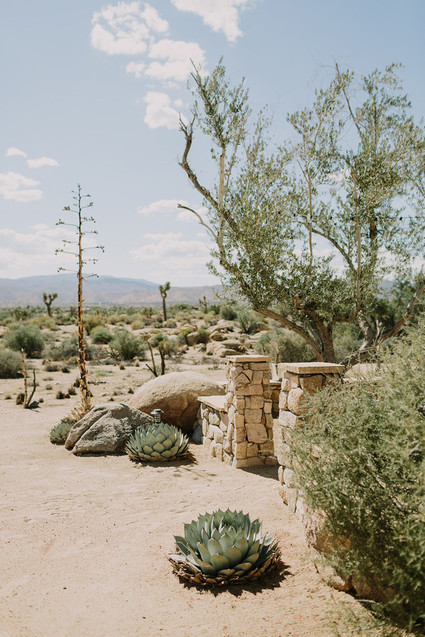 Rustic Joshua Tree wedding with a pink floral dress
