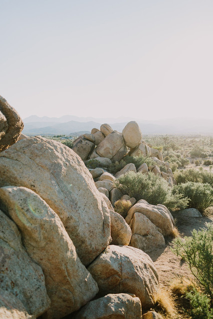 Rustic Joshua Tree wedding with a pink floral dress