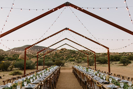 Rustic Joshua Tree wedding with a pink floral dress