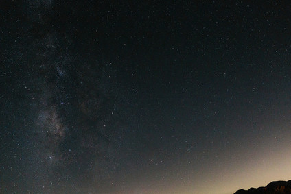 Rustic Joshua Tree wedding with a pink floral dress