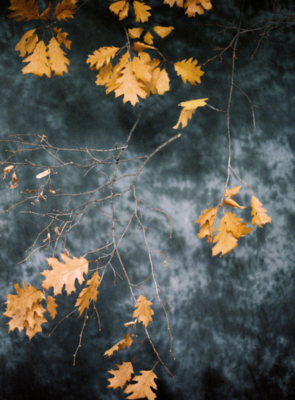 Minimal modern grey wedding ideas