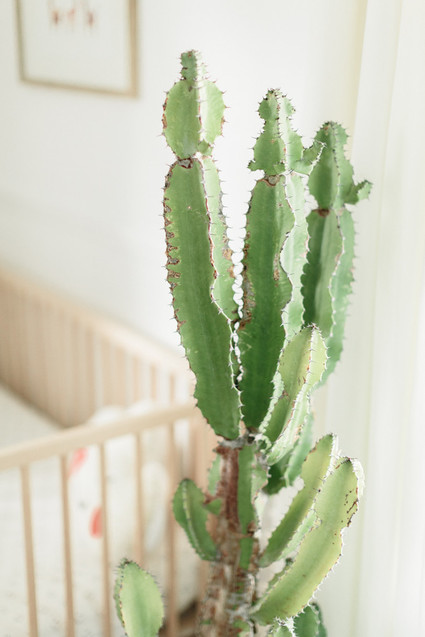 Earthy pastel girl's nursery