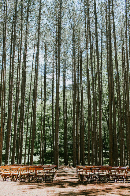 Rustic Pine forest wedding at The Roxbury Barn & Estate Inspiration