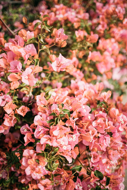 Rancho Valencia Resort and Spa Inspiration