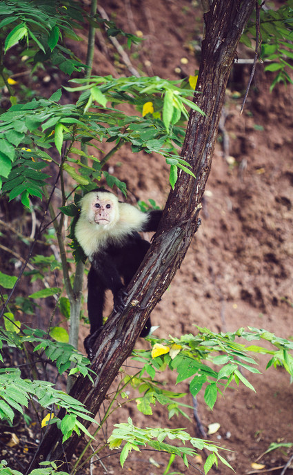 Andaz Costa Rica Resort at Peninsula Papagayo Inspiration