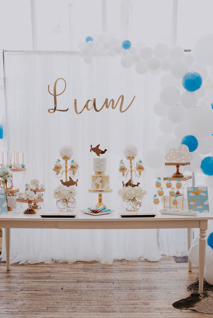 Airplane themed baby shower