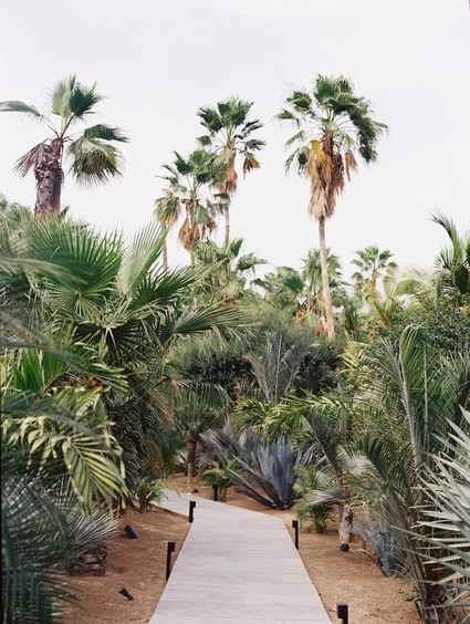 The ultimate itinerary for a honeymoon in Cabo / Acre Baja