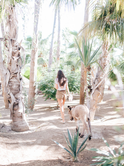 The ultimate itinerary for a honeymoon in Cabo / Acre Baja