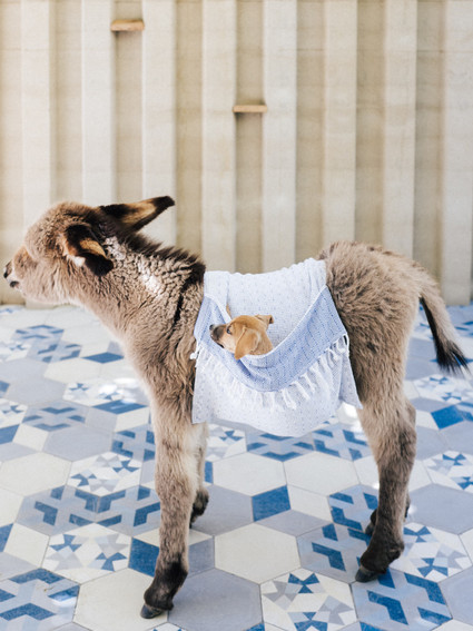 The ultimate itinerary for a honeymoon in Cabo / Acre Baja