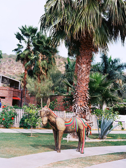 The ultimate itinerary for a honeymoon in Cabo / Todos Santos