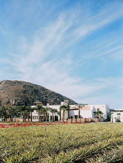 The ultimate itinerary for a honeymoon in Cabo / Hotel San Cristobal