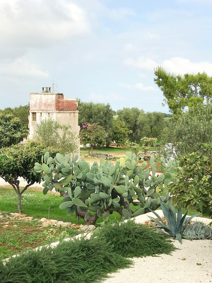 Puglia, Italy Inspiration