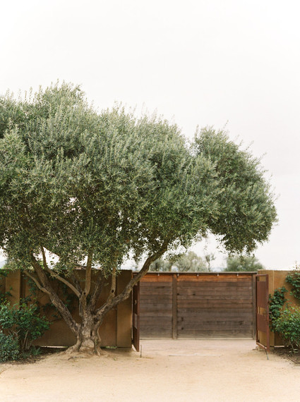On trend now, a tamarind and pink wedding editorial in Sonoma CA