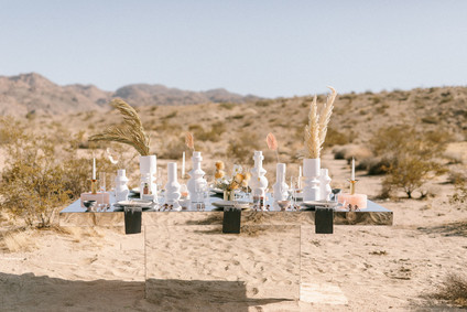 Modern minimalist earth tone wedding in the desert