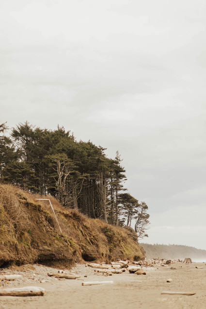 Tropical beach boho vow renewal in Olympic National Park