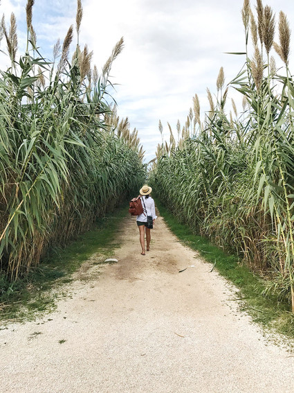 Puglia, Italy Inspiration