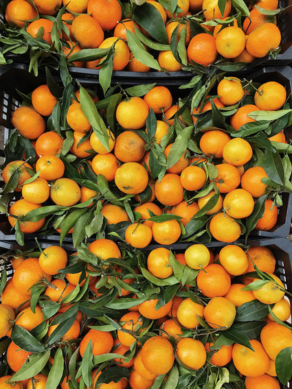 Puglia, Italy Inspiration