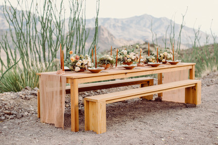 West Pinto terracotta inspired wedding editorial in West Texas