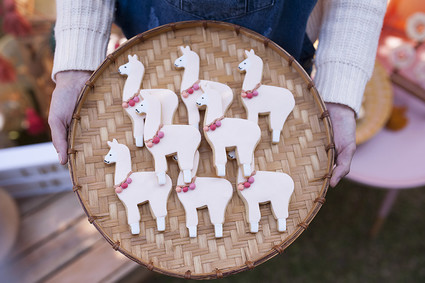 Earth tone llama themed first birthday party