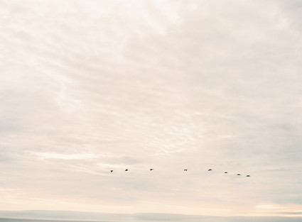 Classic California wedding in an old greenhouse at The Orchid in Santa Barbara