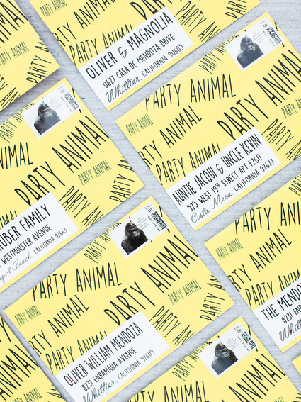 Party like an animal first birthday