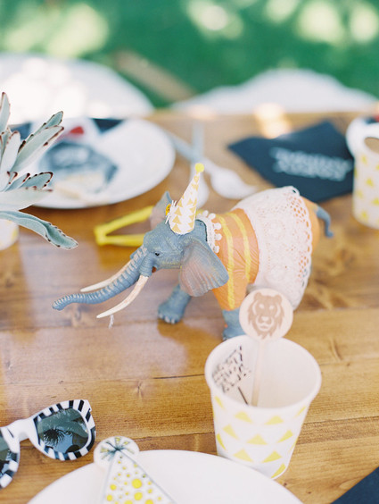 Party like an animal first birthday