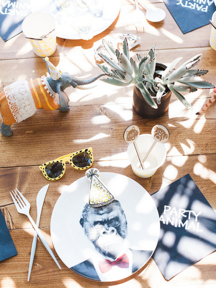 Party like an animal first birthday