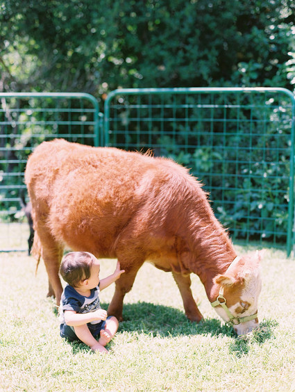 Party like an animal first birthday