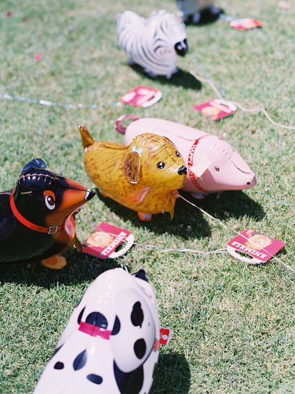 Party like an animal first birthday