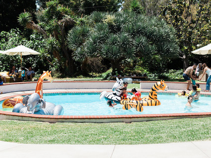 Party like an animal first birthday