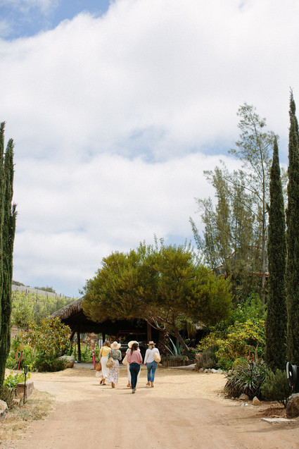 An insider's guide to the Guadalupe Valley in Baja on 100 Layer Cake Inspiration