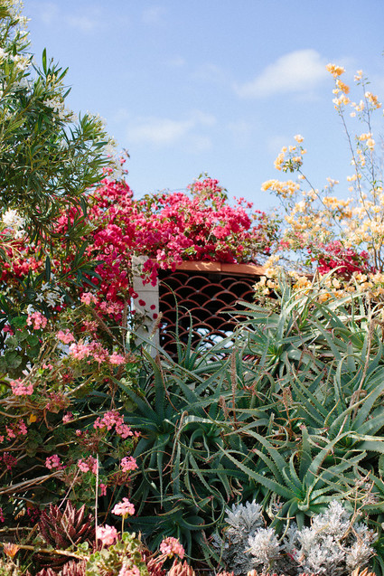 An insider's guide to the Guadalupe Valley in Baja on 100 Layer Cake Inspiration