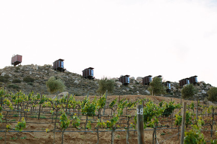 An insider's guide to the Guadalupe Valley in Baja on 100 Layer Cake Inspiration